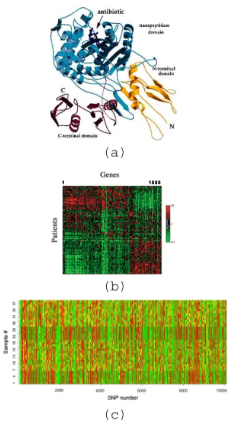 Figure 1.1: Examples of immense biological data