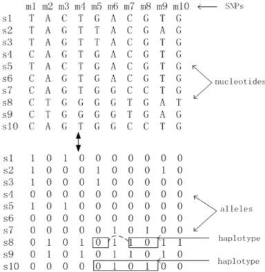 Figure 1.2: An example SNP data and its corresponding binary matrix