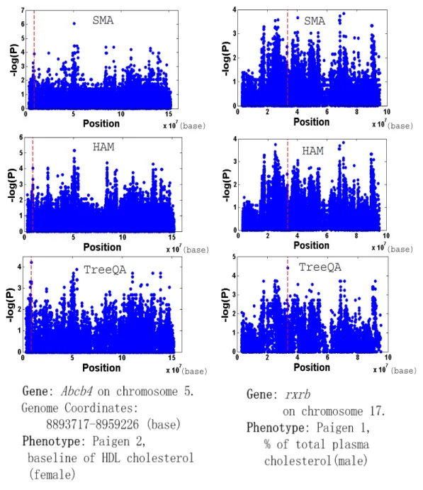 Figure 2.6: Compare SMA, HAM and TreeQA on the mouse genotype data