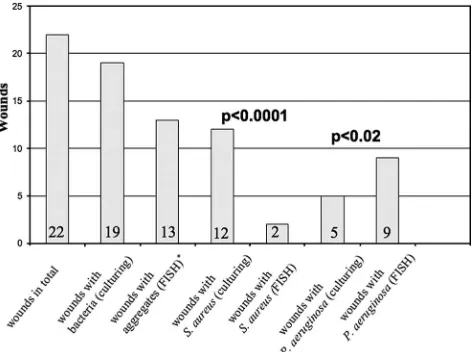 FIG. 2. Presence of exopolymeric substance alginate within and surrounding Pnostaining