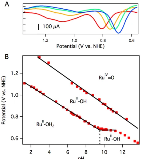 Figure 2.6 Differential pulse voltammograms from pH 7 to pH 10 (A) and  resulting Pourbaix diagram (B) of 3