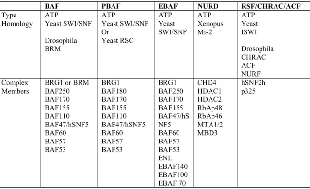 Table 1.2:  Human ATP-dependent Chromatin Remodeling Complexes 