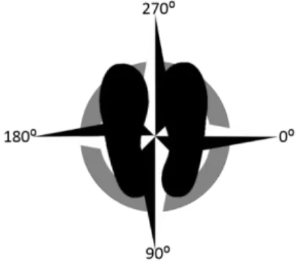 Figure 1: PCXMC angle orientation relative to patient  