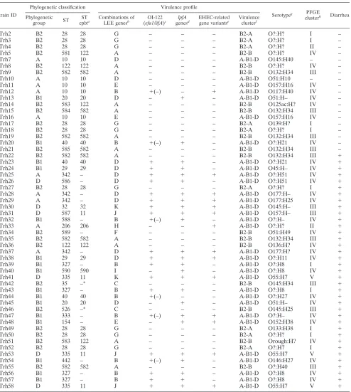 TABLE 1. Comparison of phylogenetic classiﬁcation, virulence proﬁle, serotype, PFGE clustering, and clinical information for each of the 56atypical EPEC strains identiﬁed in a case-control study among children �5 years old in Norway