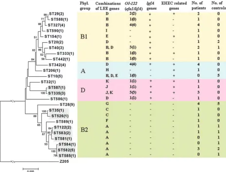 FIG. 1. Phylogenetic relationships between 56 atypical EPEC strains from Norwegian children