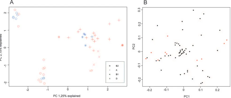 FIG. 2. Phylogenetic relationships between 56 atypical EPECstrains from Norwegian children are presented as a phylogenetic splits
