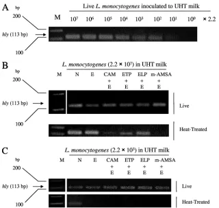 FIG. 6. Detection limit of L. monocytogenesas bacterial pellets and supplied to a direct PCR (theC) Live or heat-treatedladder;5 min; irradiation for 5 min); CAM, 25concentrations represent ﬁnal concentrations