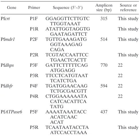 TABLE 1. Primers used in the mPCR