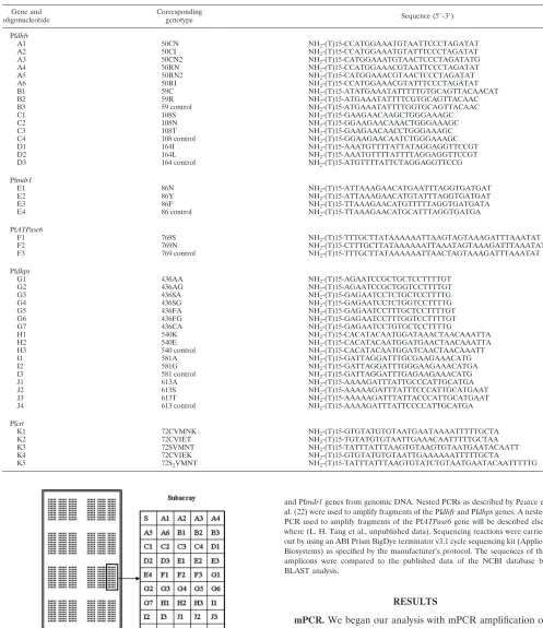 TABLE 2. Oligonucleotide probes used in the microarray
