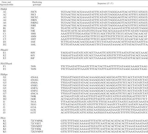 TABLE 3. Thirty-seven synthesized oligonucleotides