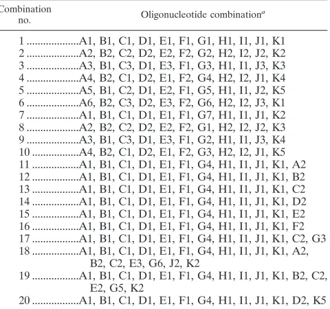 TABLE 4. Twenty combinations of the synthesized oligonucleotides