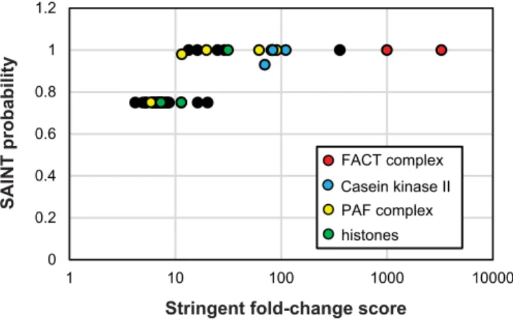 FIGURE 2. Identification of significant Spt16-TAP interaction partners.