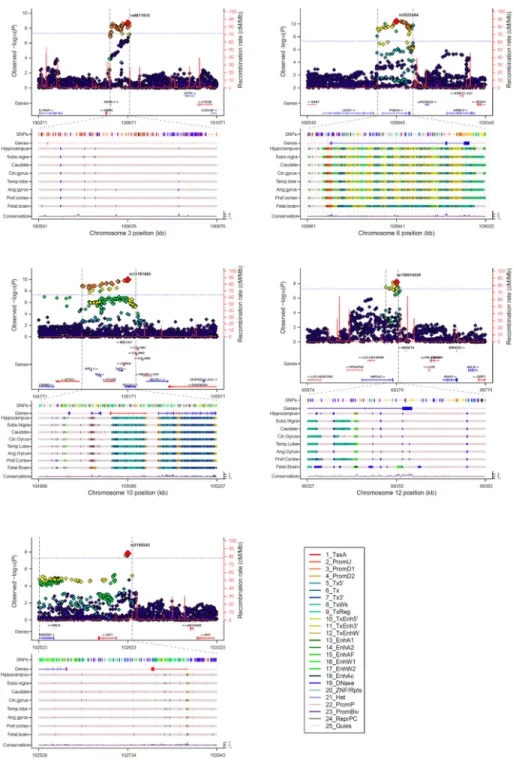 Figure 2. Regional association and functional annotation of novel genome-wide significant loci Regional association plots for the five novel genome-wide significant loci of intracranial  volume with gene models below (GENCODE version 19)