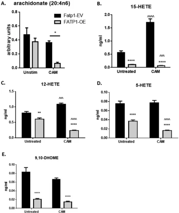 Figure 5: Overexpression of FATP1 in RAW264.7 M F s decreased arachidonate and certain eicosanoid concentrations