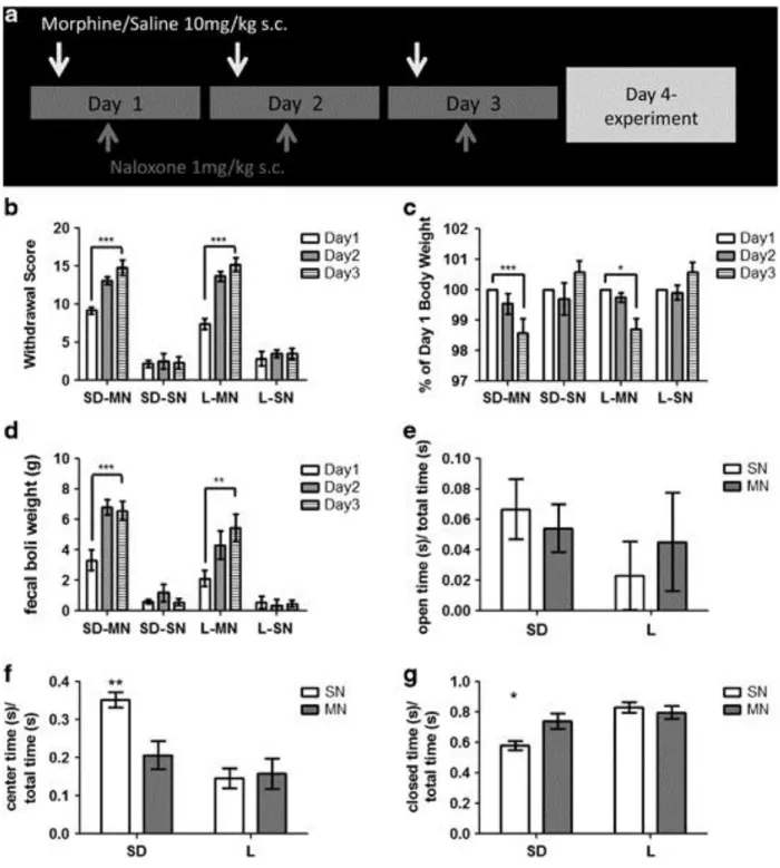 Figure 2.5: Morphine dependence in Sprague-Dawley (SD) and Lewis (L) rats. (a)  Model of drug administration paradigm