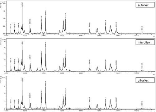 FIG. 1. Comparison of mass spectra for one exemplary nonfermenting strain (strain Galv12) generated on three different MALDI-TOF MSinstruments (autoﬂex, microﬂex, ultraﬂex)