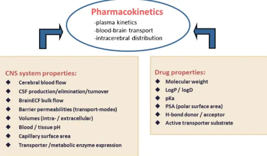 Fig. 1. System and drug properties which govern drug kinetics in brain. Figure is modi ﬁed from de Lange ( 4)
