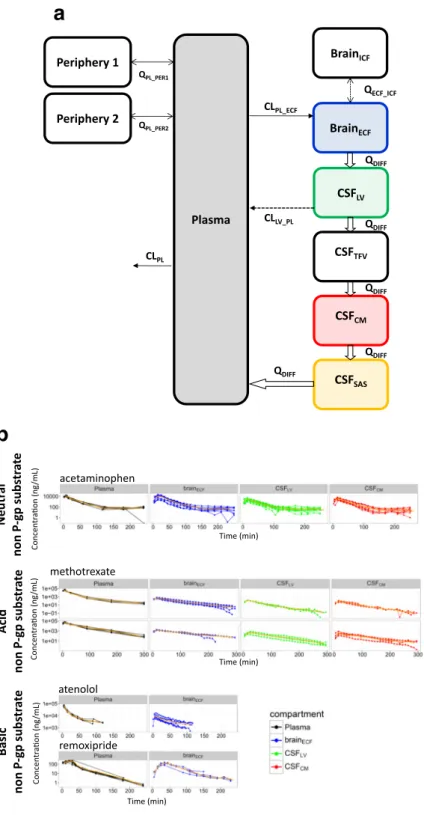 Fig. 3. A generic multi-compartmental CNS distribution model. (a) Multi- Multi-compartmental CNS distribution model structure