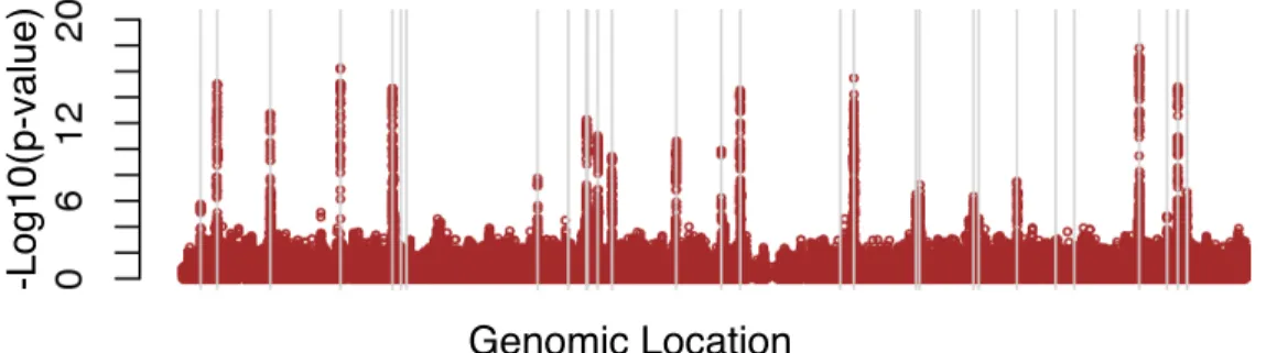 Figure 2.1: Marginal association p-values for 645,316 SNPs on chromosome 1. The grey vertical lines denote the positions of 30 important SNPs