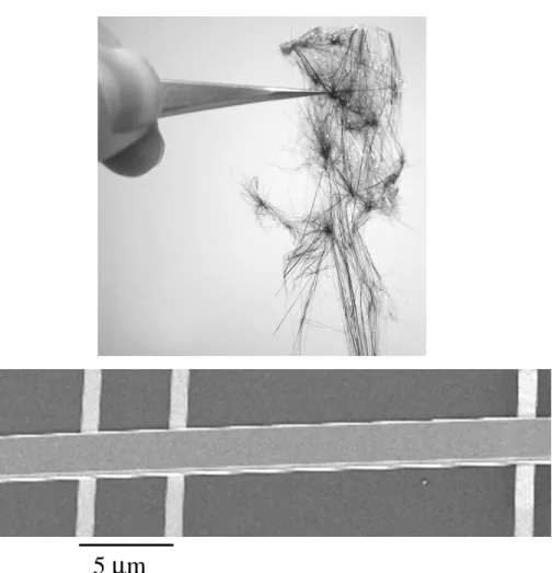 Fig. 1.9: Strand of NbSe 3 held with a pair of tweezers. The Scanning Electron Microscope image shows a NbSe 3 wire cleaved from a large strand and put on top of three Au contacts.