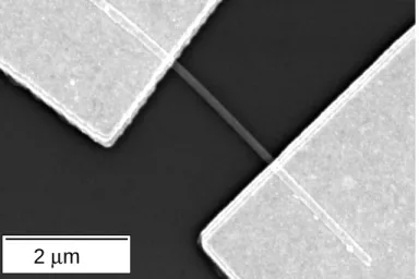 Fig. 1.10: A Scanning Electron Microscope image of a NbSe 3 nanowire with two gold contacts on top of it.