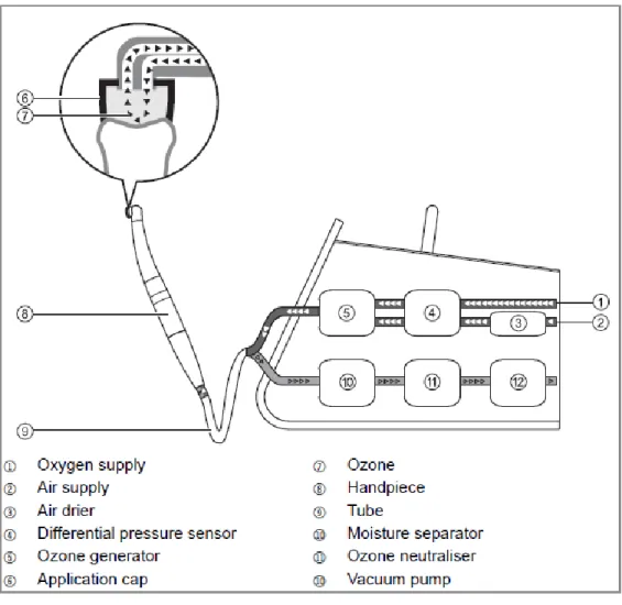 Figure 2. Curozone X4 ®  schematic functioning. 