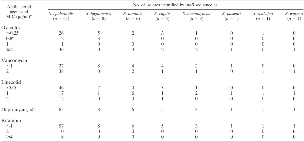 TABLE 3. Variability of the rpoB amino acid sequence forS. epidermidis isolatesa