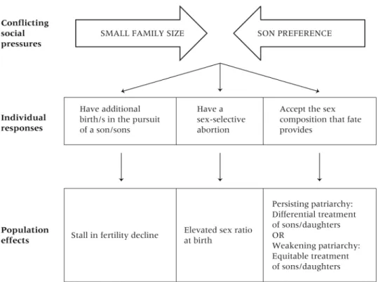 Figure 2. Possible responses to, and consequences of, conflicting pressures related to smaller  family size and the desire for sons