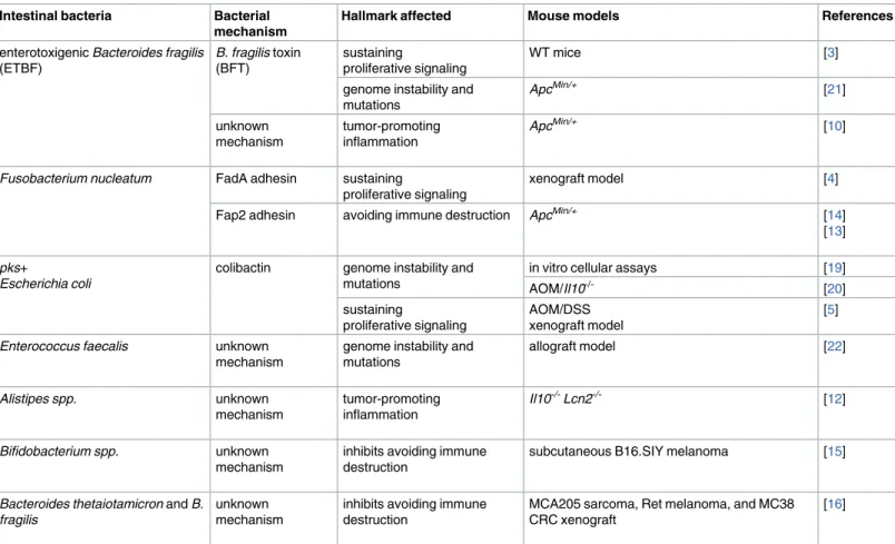 Table 1. Members of the intestinal microbiota associated with cancer development and resistance.