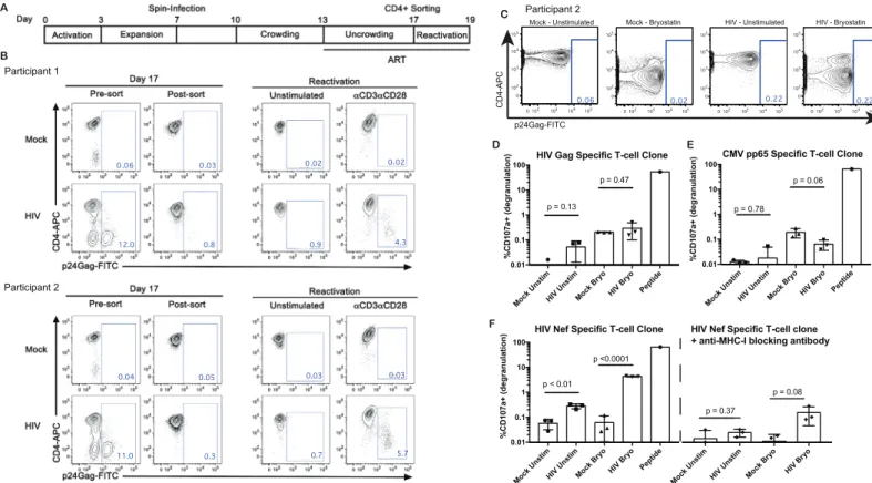 Fig 2. Comparing recognition of latently-infected and partially reactivated HIV-infected cells by Nef- and Gag-specific CD8 + T-cells