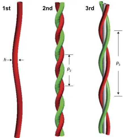 Figure 5 Model of periodic multi-strand fibril produced by the aggregation of aperiodic single fibrils: fibrils of the nth order are twisted bundles containing n single fibrils.Notes: h and pn are respectively the thickness of a single fibril (1st order) a