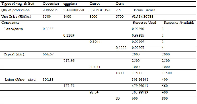 Table 5: New optimal solution with increased input requirements 