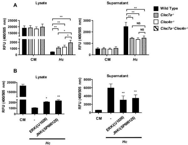 Fig 7. Both Dectin-2 and Dectin-1 and downstream signals regulate dendritic cell release of cathepsin B.