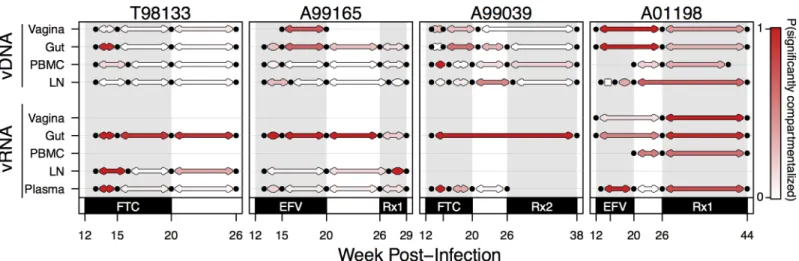 Fig 8. Change in compartmental viral composition over time varies by compartment and drug pressure