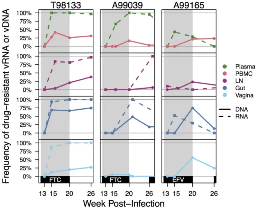 Fig 2. Drug resistance increase over time across all compartments. Drug resistance was defined as the proportion of vRNA (dashed lines) or vDNA (solid lines) sequences having K103N and/or M184V/I within each compartment for animals T98133, A99039, and A991