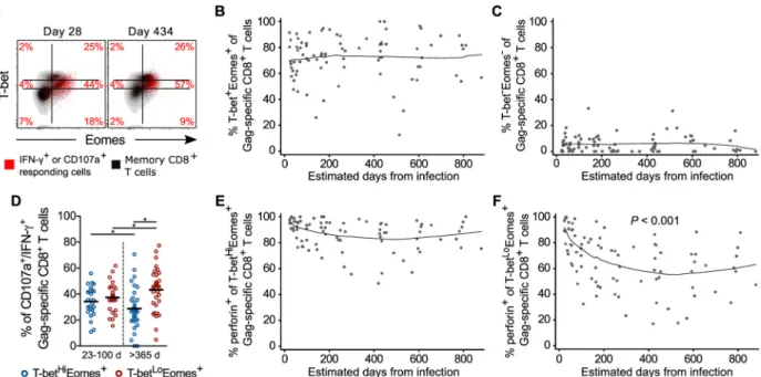 Fig 6. T-bet and Eomes expression by responding HIV-specific CD8 + T cells over time. (A) Gag-specific CD8 + T cells (red) overlaid on perforin + CD8 + T cells (black) from the acute (day 28) and chronic (day 434) infection time points of one donor