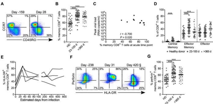 Fig 2. Memory distributions, activation, and proportion of cytotoxic peripheral CD8 + T cells for healthy donors and following HIV infection