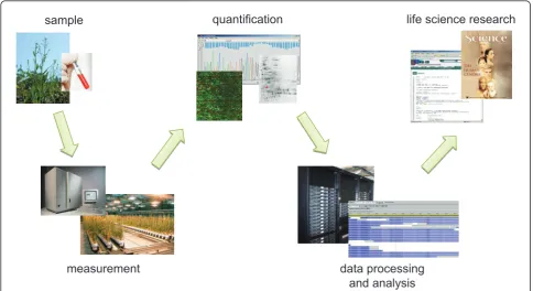 Figure 1 Primary data workflow. General primary data workflow in life sciences describing how primary data is generated