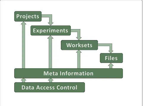 Figure 5 LIMS Light workflow. The LIMS Light workflow has a hierarchical structure. The files are located in worksets which are related toexperiments