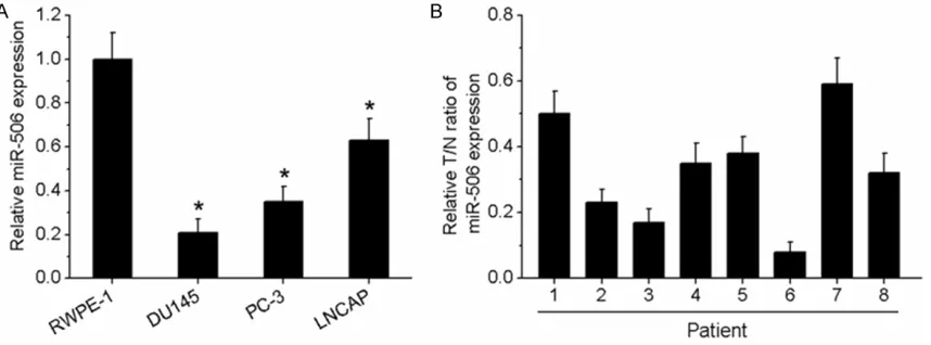 Figure 1. miR-506 expression is down-regulated in human PCa cell lines and tissues. A