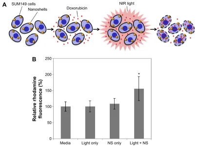 Figure 3 (A) Proposed mechanism of chemosensitization provided by nanoshell (NS)-mediated photothermal therapy