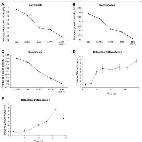 Figure 3 Average expression stability values in osteoblasts, macrophages and osteoclasts and expression profiling of 18S and GAPDHduring osteoblast differentiation