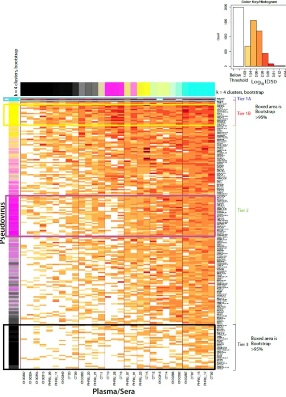Fig 2. K-means (n = 4) neutralization clustering of clade C Env pseudoviruses for tier classification (n = 200)