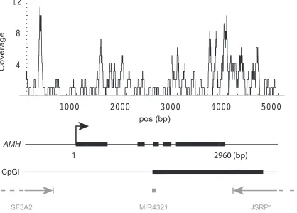Figure 7: DNA methylation pattern of AMH gene. DNA methylation coverage was calculated by summing the reads from both groups in two experiments