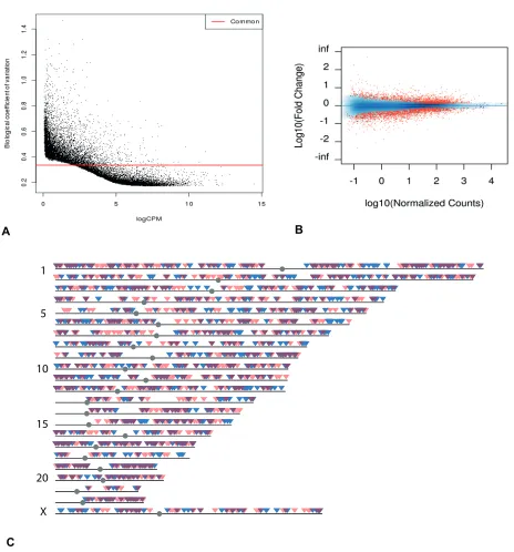 Figure 1: Transcriptome overview. (A) Dispersion graph of all genes from mRNA-seq. Genes under the common coefficient variation threshold (red line) were included in further analysis by EdgeR (qCLM)