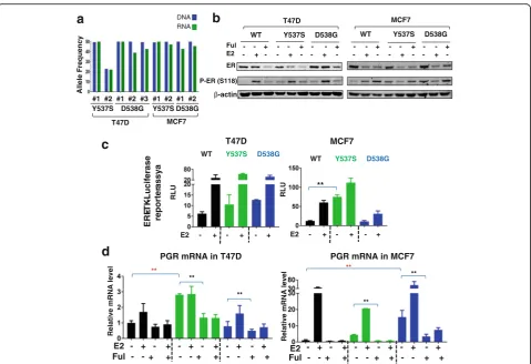Fig. 1 Generation and characterization ofrepresentative experiment with two biological replicates.1 nM estradiol (experiments.fulvestrant or 1 nM E2 with 1basal level, Student( ESR1 mutant, genome-edited MCF7 and T47D cell line models