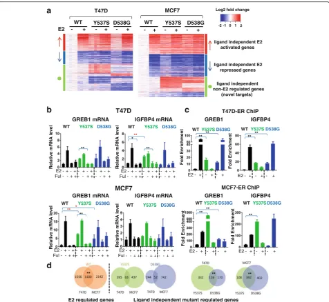 Fig. 4 Genome-wide transcriptomic analysis reveals regulation of ligand-independent estrogen receptor (within each cell line and between the two cell lines (chi-square test, **in WT cells between the cell lines (chi-square test, **performed on the ER bindi