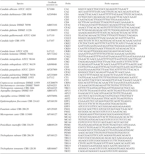 TABLE 1. Fungal species tested and oligonucleotides used with the APEX technique