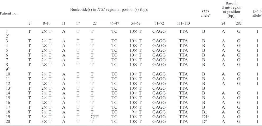 TABLE 2. MLST polymorphisms in ITS1 and �-tub regions of DNA from P. jirovecii isolated from patients 1 to 20
