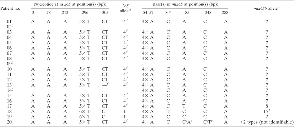 TABLE 3. MLST polymorphisms in 26S and mt26S regions of DNA from P. jirovecii isolated from patients 1 to 20